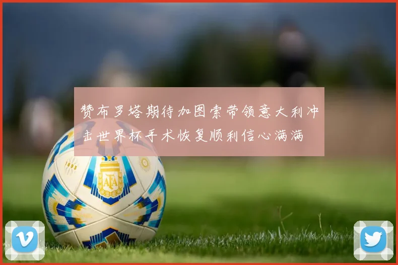 赞布罗塔期待加图索带领意大利冲击世界杯手术恢复顺利信心满满