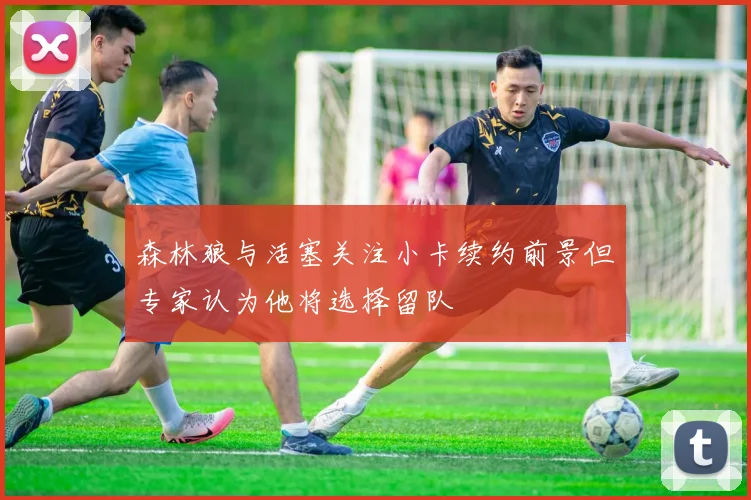 森林狼与活塞关注小卡续约前景但专家认为他将选择留队